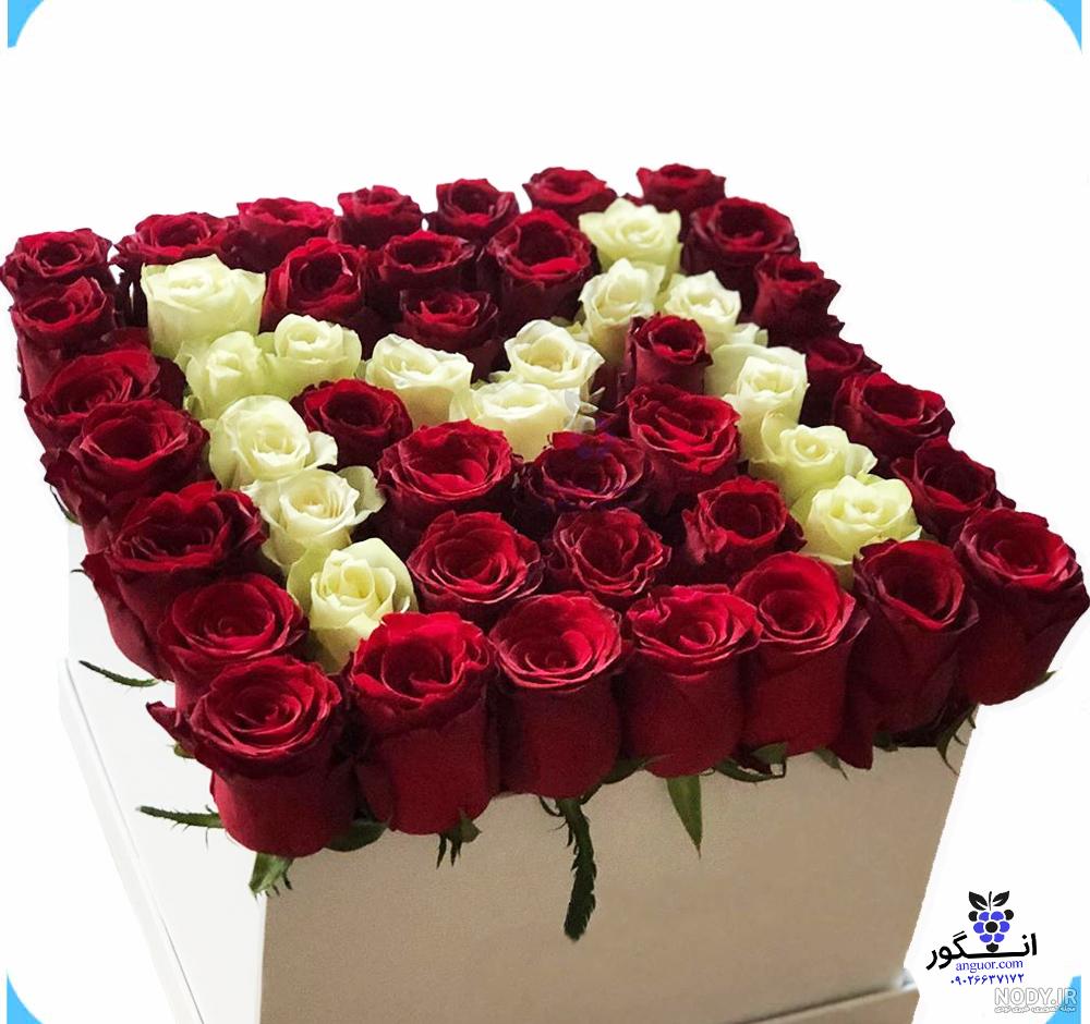عکس گل رز صورتی زیبا برای پروفایل عکس گل رز صورتی زیبا برای پروفایل