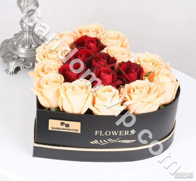 عکس گل رز قرمز و آبی عکس گل رز قرمز و آبی