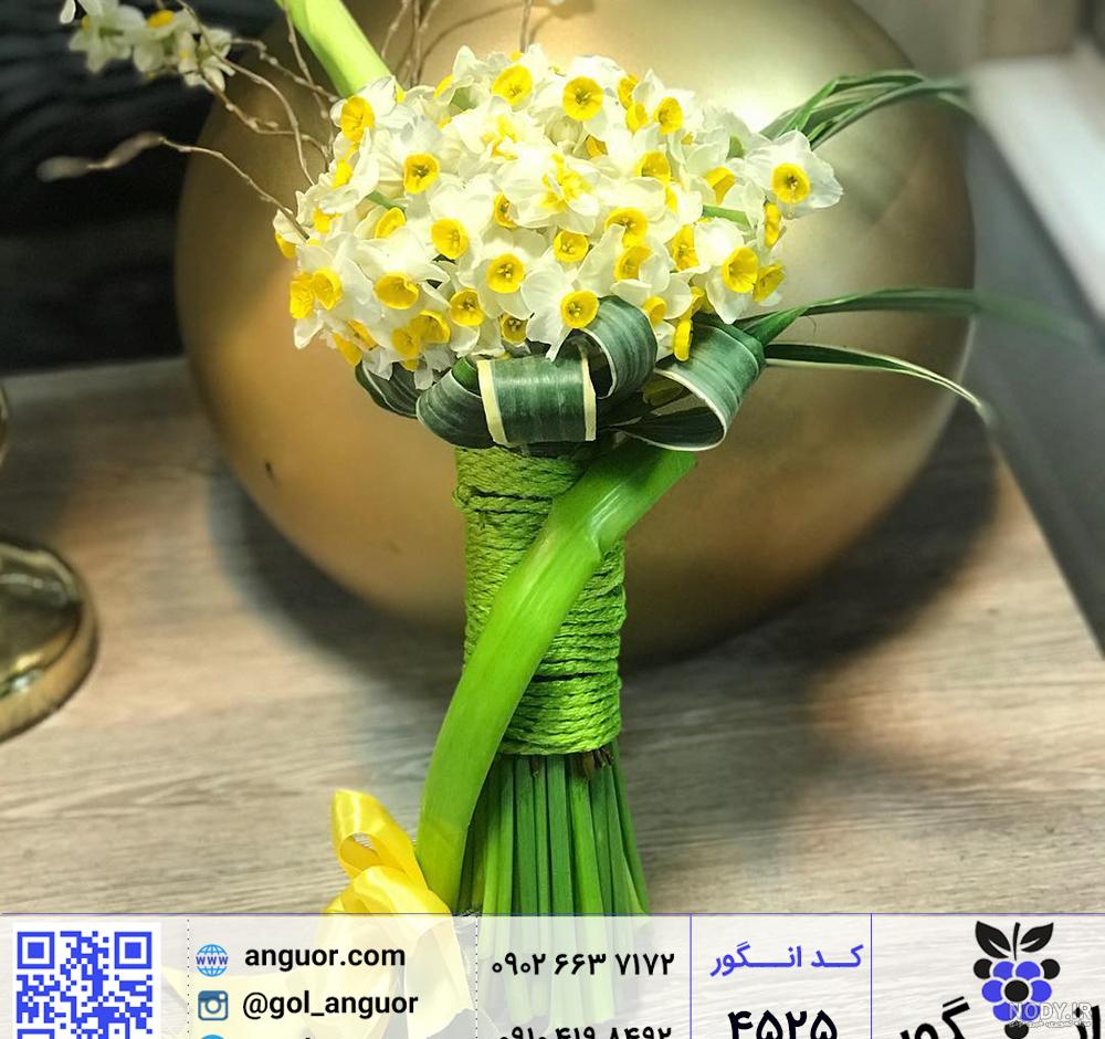 عکس گل نرگس در برف عکس گل نرگس در برف