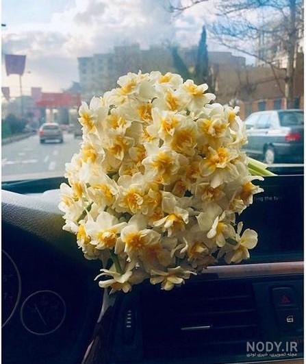 عکس گل نرگس در گلدان عکس گل نرگس در گلدان