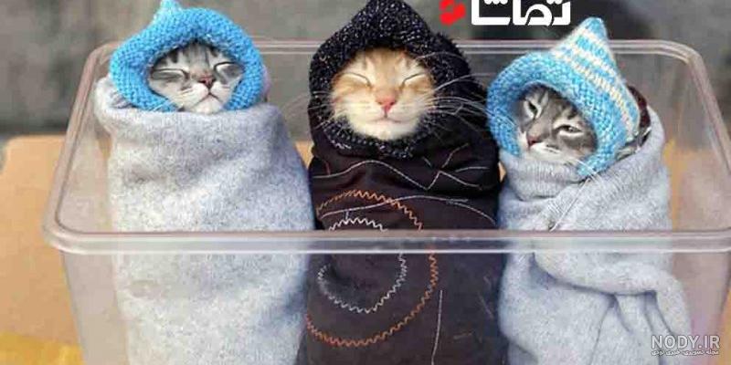 متن خنده دار کوتاه