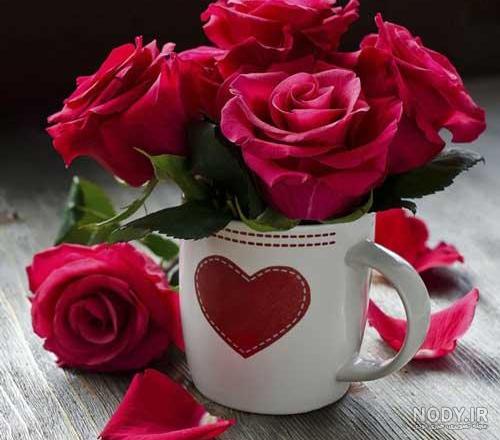 معنی گل رز زرد معنی گل رز زرد