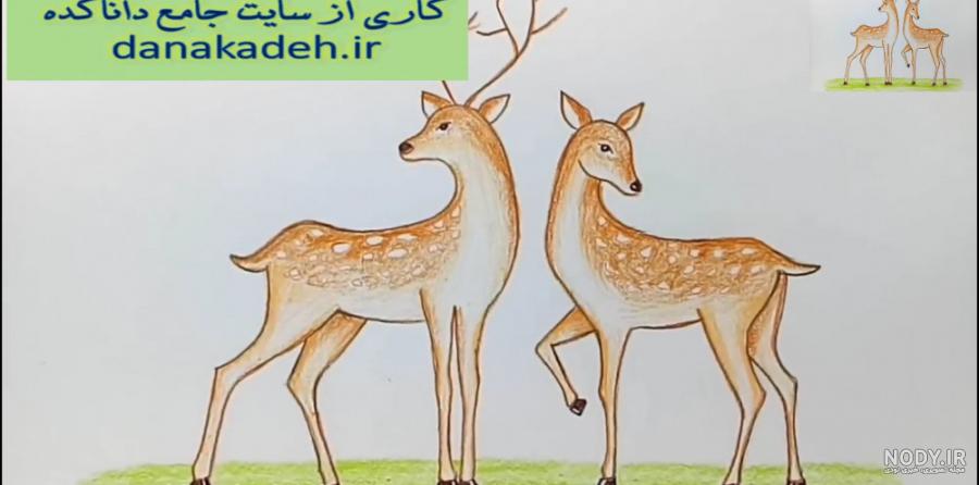 نقاشی ضامن آهو آسان نقاشی ضامن آهو آسان