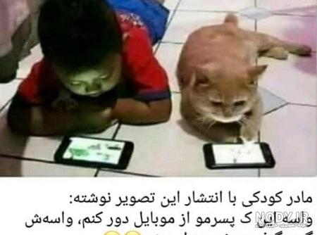 کارتون گربه های خنده دار