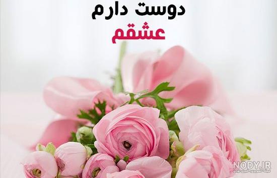 عکس گل رز عکس گل رز