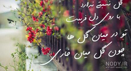 اشعار برگزیده شاعران اشعار برگزیده شاعران
