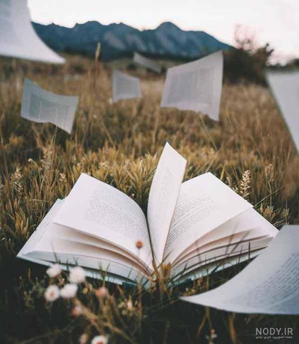 عکس از کتابخانه های زیبا عکس از کتابخانه های زیبا