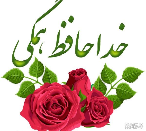 عکس خداحافظ زیبا