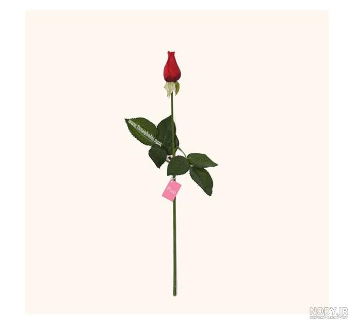 عکس دسته گل رز زرد عکس دسته گل رز زرد