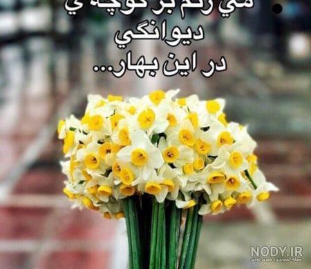 عکس ساناز فدایی