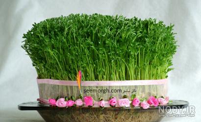 عکس سبزه عید برای پروفایل