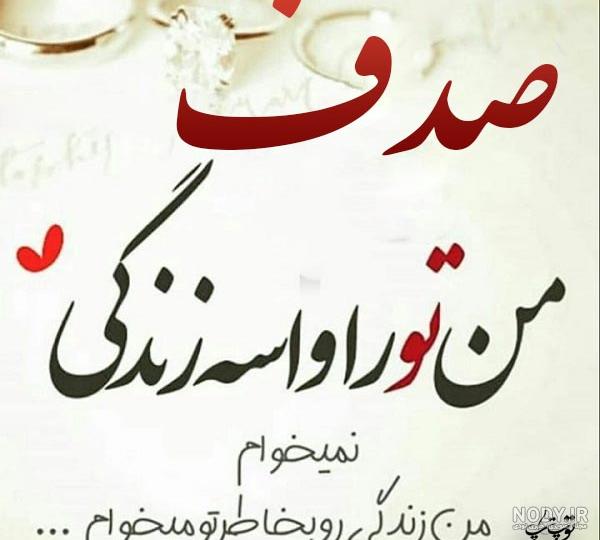 عکس صدف عکس صدف
