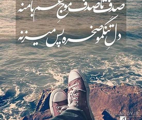 عکس صدف دریایی زنده عکس صدف دریایی زنده