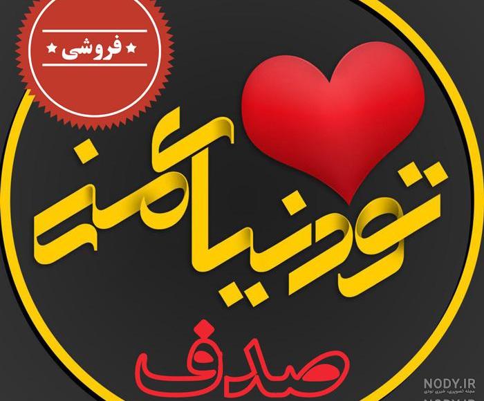 عکس صدف دریایی واقعی عکس صدف دریایی واقعی