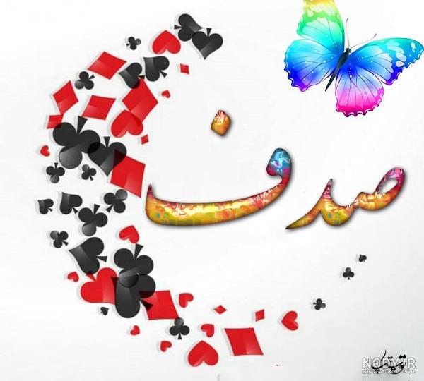 عکس صدف و مروارید برای پروفایل عکس صدف و مروارید برای پروفایل