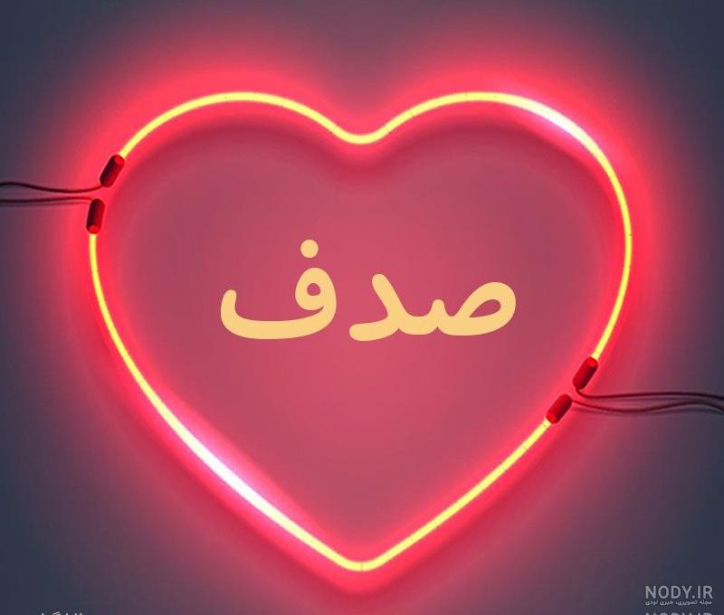عکس صدف کنار دریا عکس صدف کنار دریا