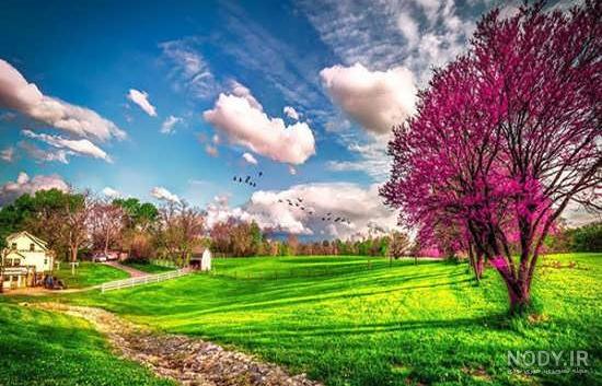 عکس منظره طبیعت عکس منظره طبیعت