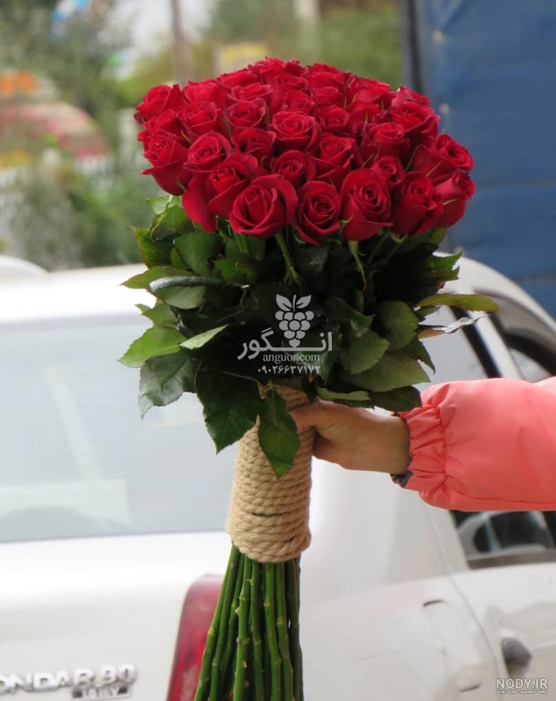 عکس گل رز تک شاخه عکس گل رز تک شاخه