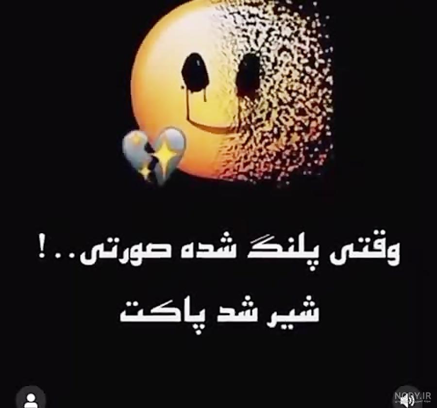 غذای کرگدن چیست