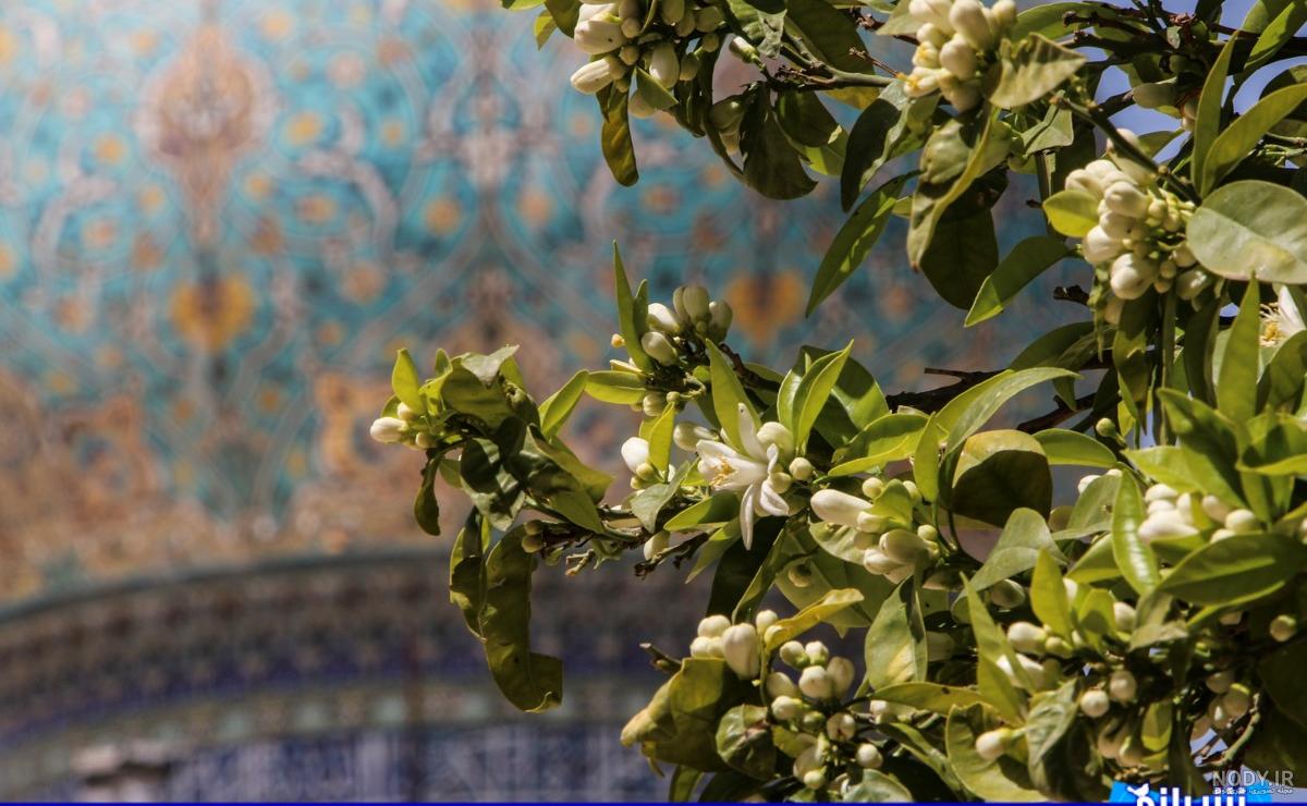 متن در مورد بهار ۱۴۰۰
