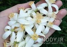 متن عاشقانه بهار من تویی