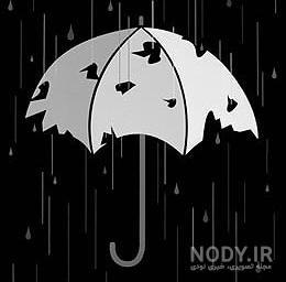 مضرات باران اسیدی