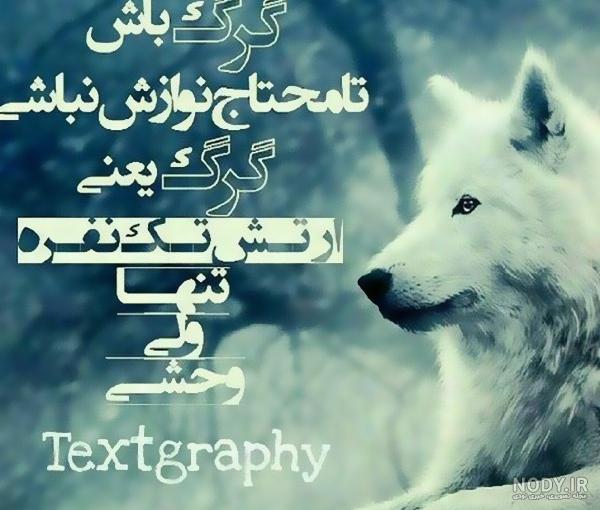 پروفایل گرگ تنها پروفایل گرگ تنها