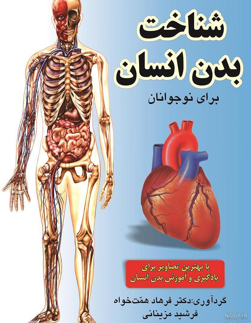 پوستر آموزشی اعضای بدن