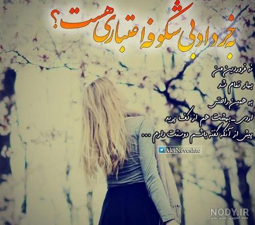 کلیپ اسم شکوفه کلیپ اسم شکوفه