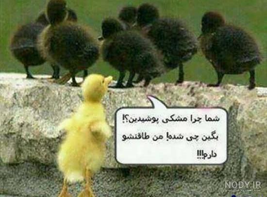 عکس خنده جالب