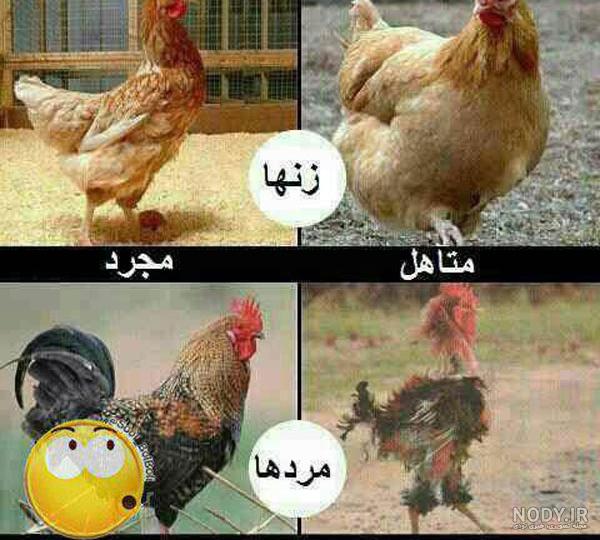 عکس خنده دار جدید