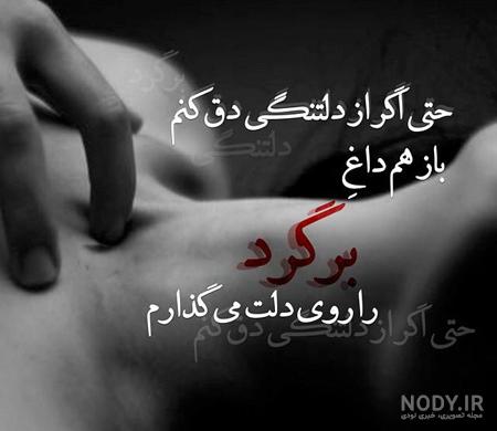 عکس گل نوشته دار غمگین