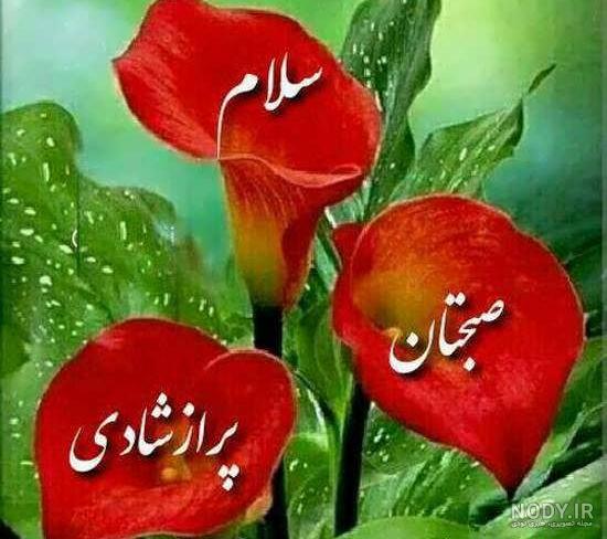تصاویر طبیعت صبح بخیر تصاویر طبیعت صبح بخیر