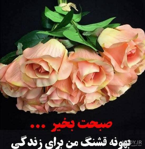 جک صبح بخیر خنده دار جک صبح بخیر خنده دار