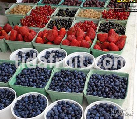 عوارض زغال اخته عوارض زغال اخته