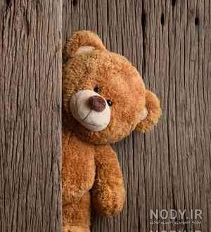 عکس تصویر زمینه خرس فانتزی