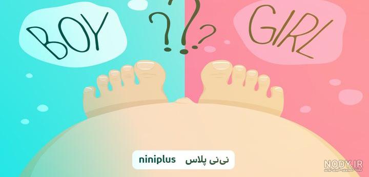 عکس جنین در هفته های مختلف بارداری