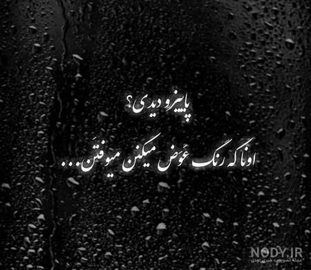 عکس سیاه سفید شاخ اینستا