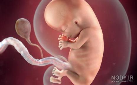 عکس نوزاد دختر پنج ماهه