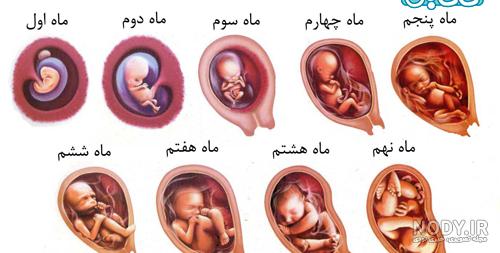 عکس نوزاد پسر شش ماهه