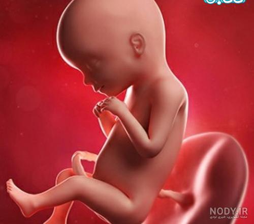 عکس نوزاد پسر پنج ماهه