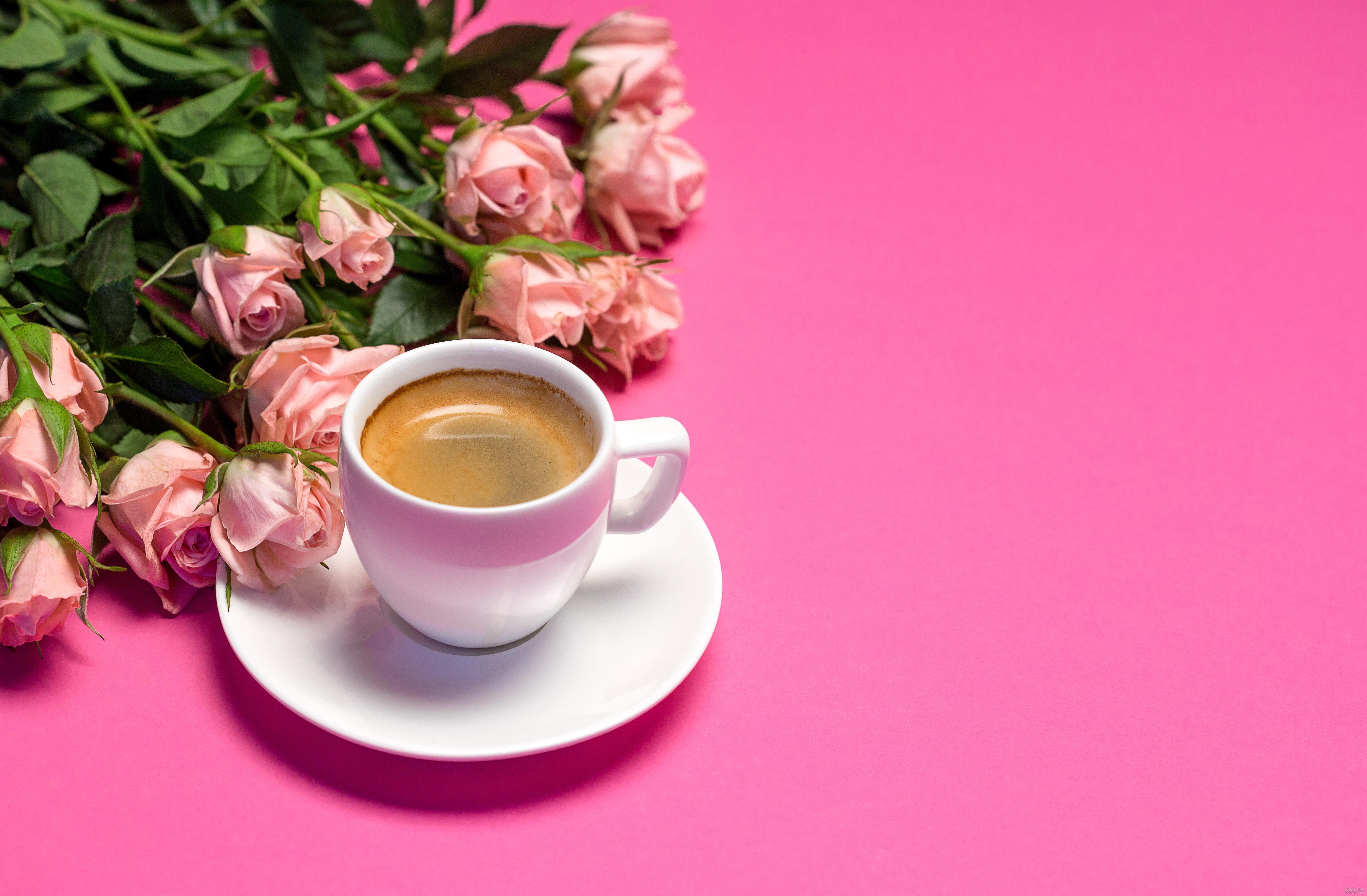 عکس گل رز آبی و قرمز