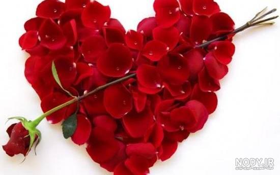عکس گل های عاشقانه