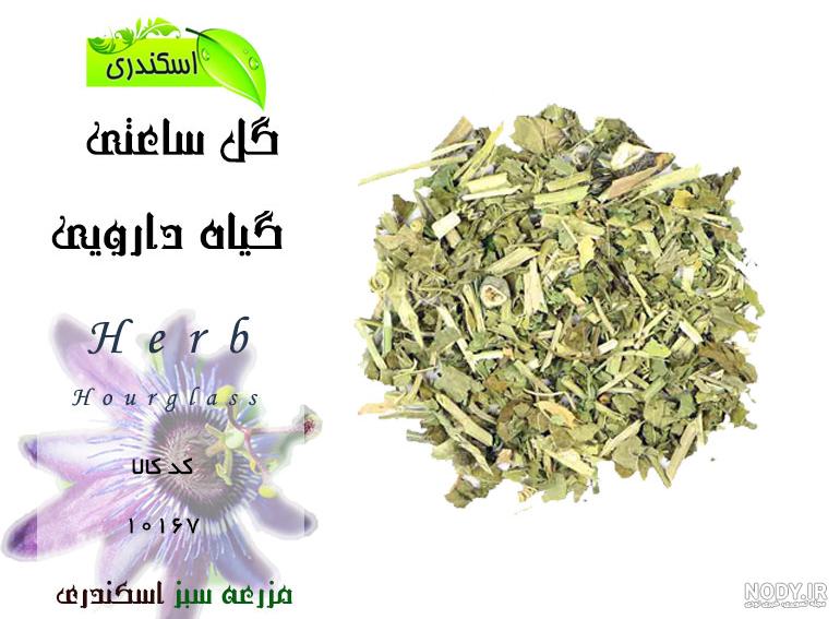قیمت گل ساعتی خشک قیمت گل ساعتی خشک