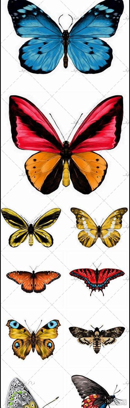 نقاشی پروانه گام به گام