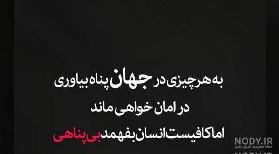 پروفایل صادق باش پروفایل صادق باش