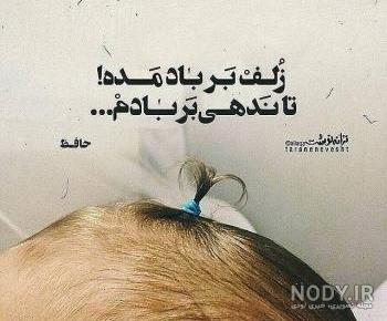 کتاب شاعران کتاب شاعران