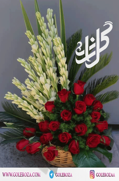 گل مریم زرد گل مریم زرد