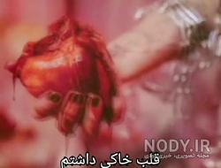 عکس قلب زیبا