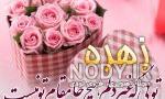 خواهرزاده عزیزم زهره جان تولدت مبارک